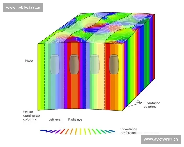 深入解析足球比赛体彩趋势揭示数据规律助你科学把握投注方向